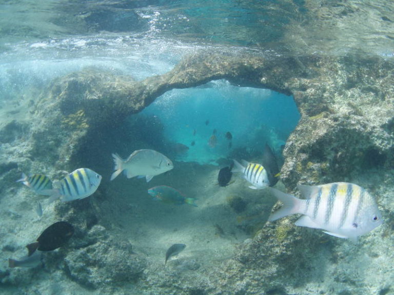 The Little Cave, at the Lighthouse reef.