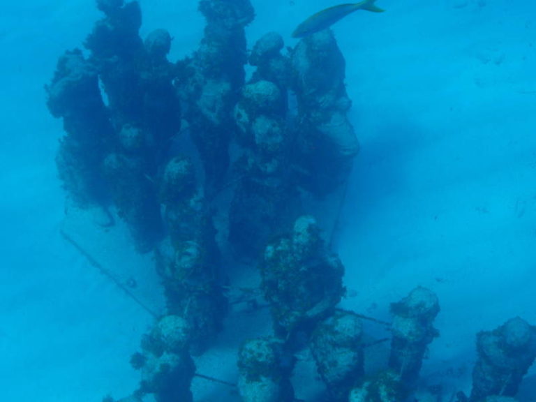 Snorkelling MUSA, Underwater Museum. Isla Mujeres