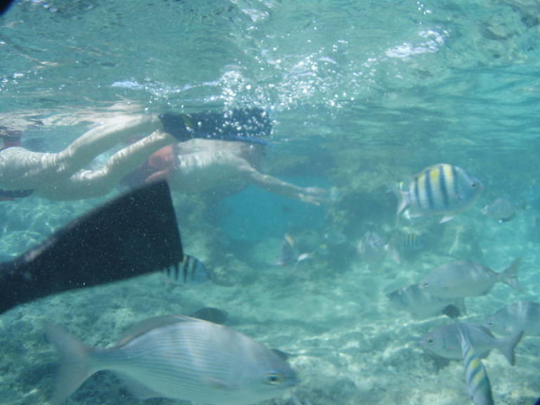 Snorkelling at The Lighthouse reef