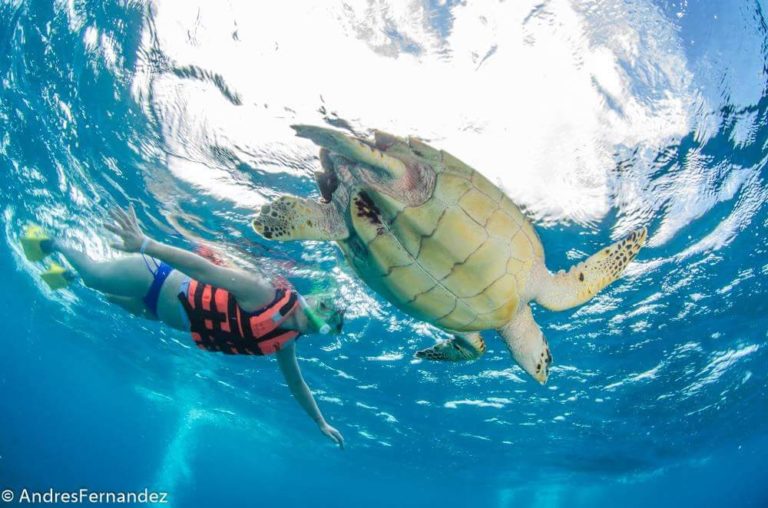 Snorkel Tours Isla Mujeres Isla Mujeres Trips