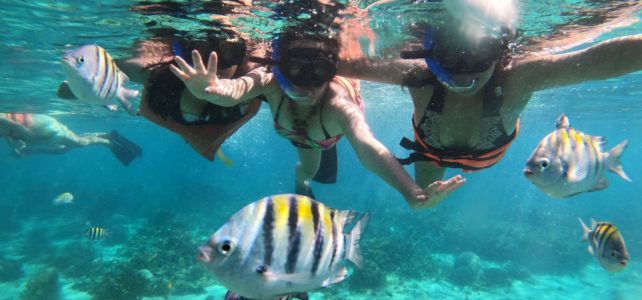 Snorkel Tours Isla Mujeres
