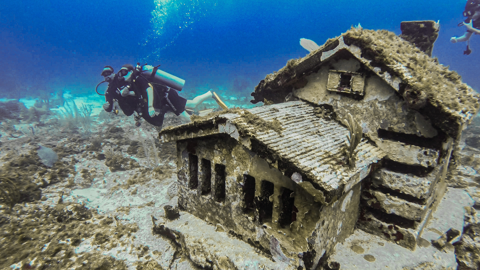 MUSA - Underwater Museum